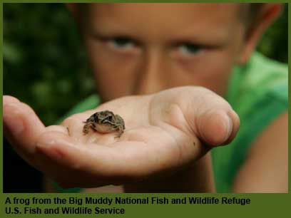 Boy with frog